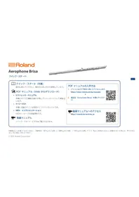 Aerophone Brisa ROLAND