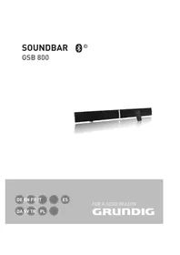 DSB 800 GRUNDIG