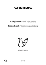 GSMI10341FN GRUNDIG