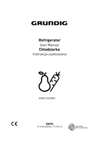 GQN21245GBN GRUNDIG