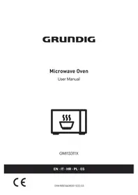 GMI 13311 X GRUNDIG