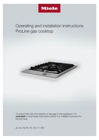 CS 1013-1 G MIELE