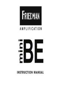 Friedman BE MINI - Audioverstärker
