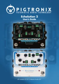 Echolution 2 Pigtronix