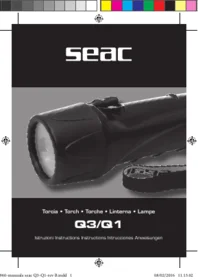 Q3 Q1 SEAC