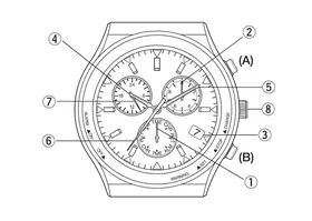 Manual CITIZEN WATCH E81 Wristwatch