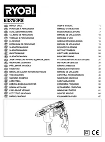 RYOBI EID600RS - Groupe électrogène