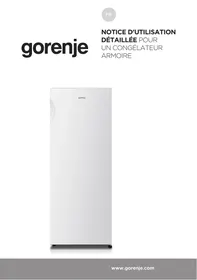 GORENJE FN4171CW - Congélateur