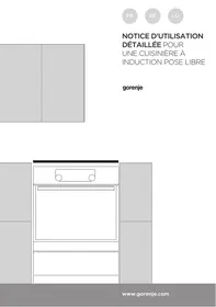 GORENJE EIT6351XPD - Plaque de cuisson