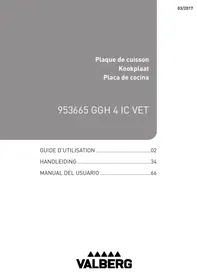 VALBERG GGH 4 IC VET  -  GGH 4 IC VET - Bandeja para hornear