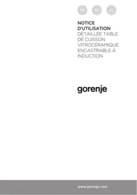 GORENJE IT643BSC  -  IT643BSC - Plaque de cuisson