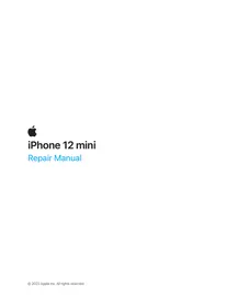 12 MINI APPLE