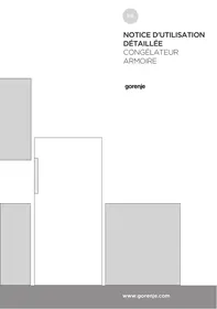 GORENJE FNE6192W - Réfrigérateur-congélateur