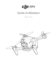 DJI FPV - Drone FPV