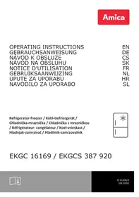 EKGCS 387 920 AMICA