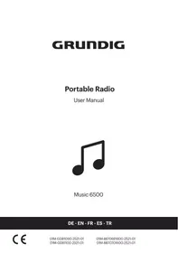 RADIO6500W GRUNDIG