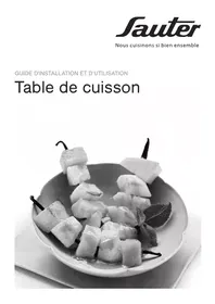 SAUTER STI998VG GRIS - Plaque de cuisson