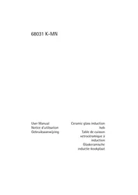 68031K-MN AEG