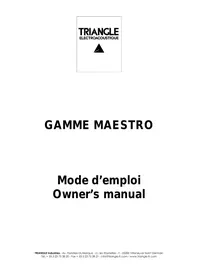 MAESTRO ESW-COL(X1) 6 TRIANGLE