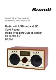 BR300 BRANDT