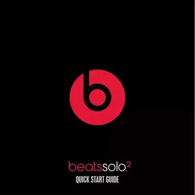 BEATS SOLO2 WL GREY - Casque audio