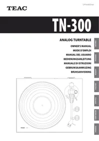 TN300 WHITE TEAC