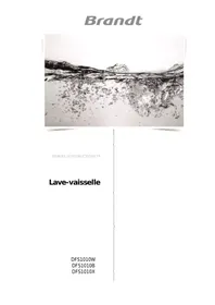 LAVE VAISSELLE DFS1010X DARTY