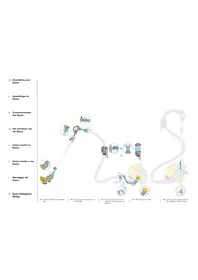 DYSON DC08TELESCOPE - Aspirateur