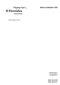 ANB39405XINOX ELECTROLUX