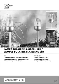 Notice LIVARNO TORCHE OU BALISE SOLAIRE à LED, EFFET FLAMME Produit de consommation