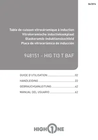 HIGH ONE HIG TI 3 TB AF - Plaque de cuisson à induction