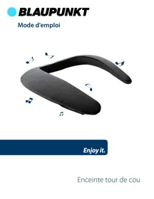 BLP4910 BLAUPUNKT