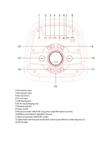 Notice PICKERING PARTY DJOON 300 Enceinte amplifiée