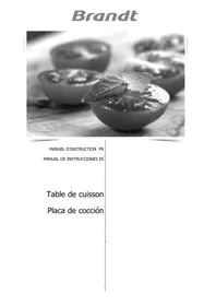 BRANDT BPI 6362 B - Plaque de cuisson