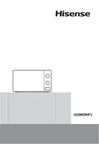 H20MOWP1 HISENSE