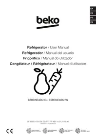 B5RCNE406HG BEKO