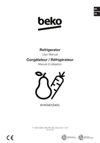 B1RCNE534DG BEKO