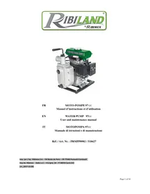 RIBIMEX PRMPP080/17 - Motopompa semi-automatica