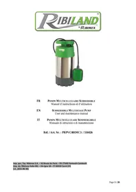 RIBIMEX PRPVC801MC3 - Pompe de puits