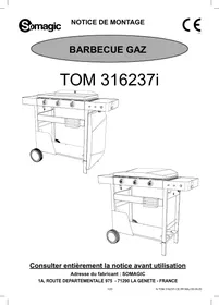 Notice SOMAGIC SOLIA - TOM 316237I Plancha gaz