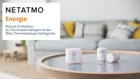 Têtes Thermostatiques Intelligentes NETATMO