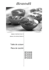 BRANDT BKTI9336B - Plaque induction