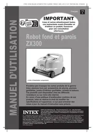 ZX300 INTEX