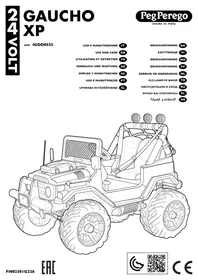 PEG PEREGO Gaucho XP - Gelände