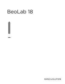 BANG &amp; OLUFSEN BeoLab 18 - Enceintes