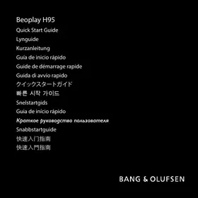 Beoplay H95 BANG & OLUFSEN
