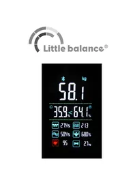 8661 LITTLE BALANCE