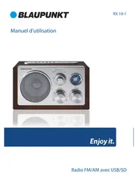 RX 191 BLAUPUNKT