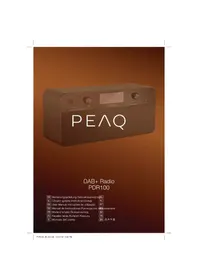 Notice PEAQ DAB+ RADIO PDR100 Radio