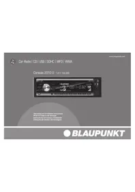 BLAUPUNKT Caracas 2010 U - Rádio de carro
